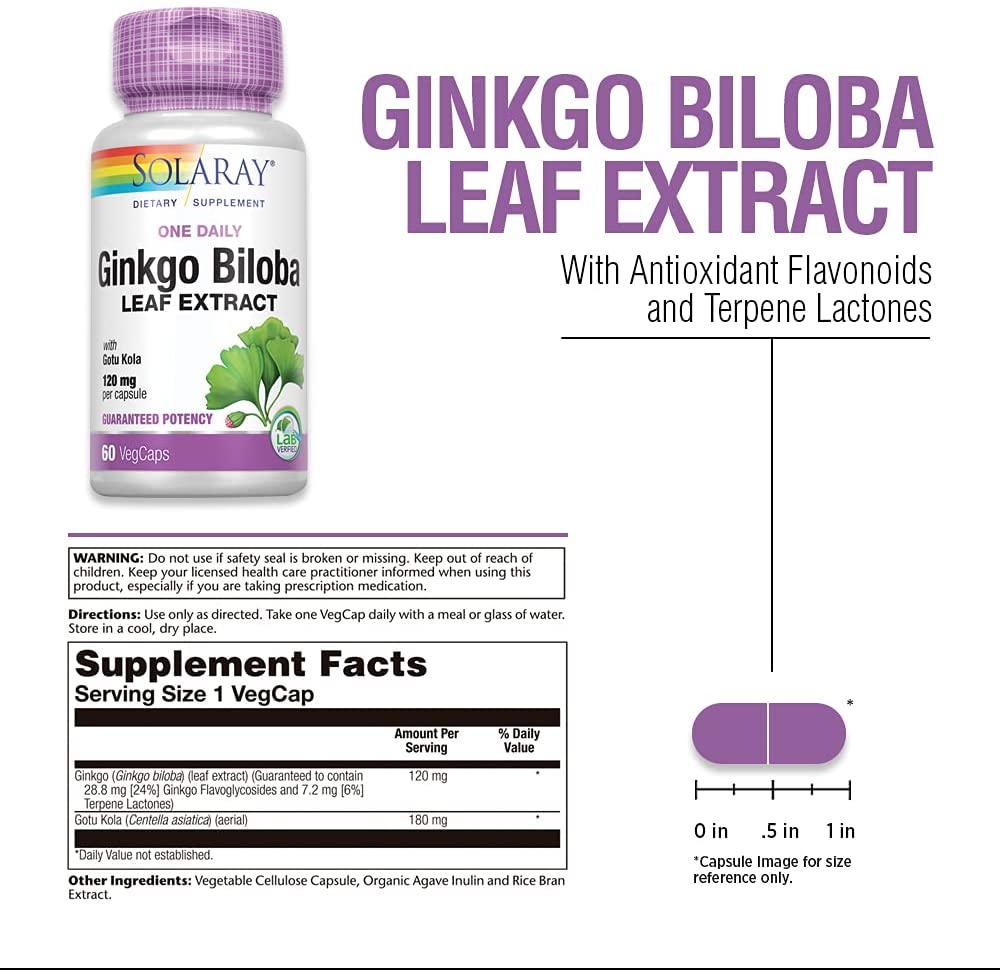 One Daily Ginkgo Biloba Leaf Extract 60 VegCaps